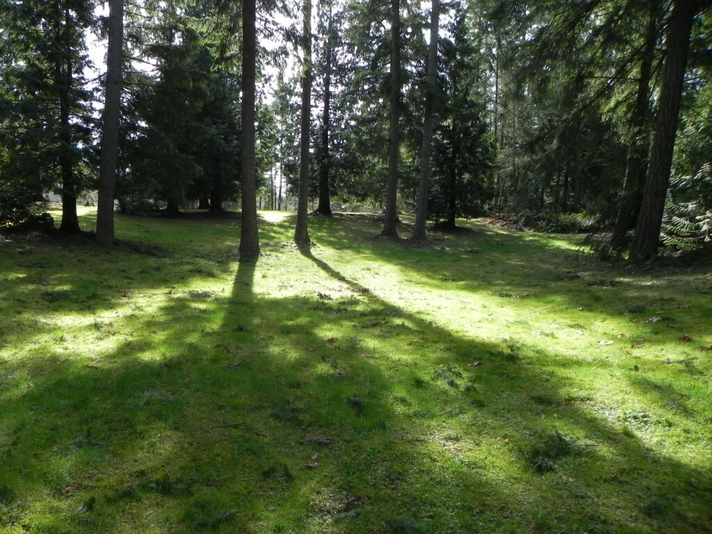 Property Photo:  261xx SE 42nd St  WA 98029 