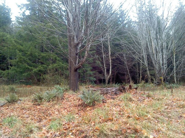 Property Photo: 3795 E Quilcene Road WA 98376