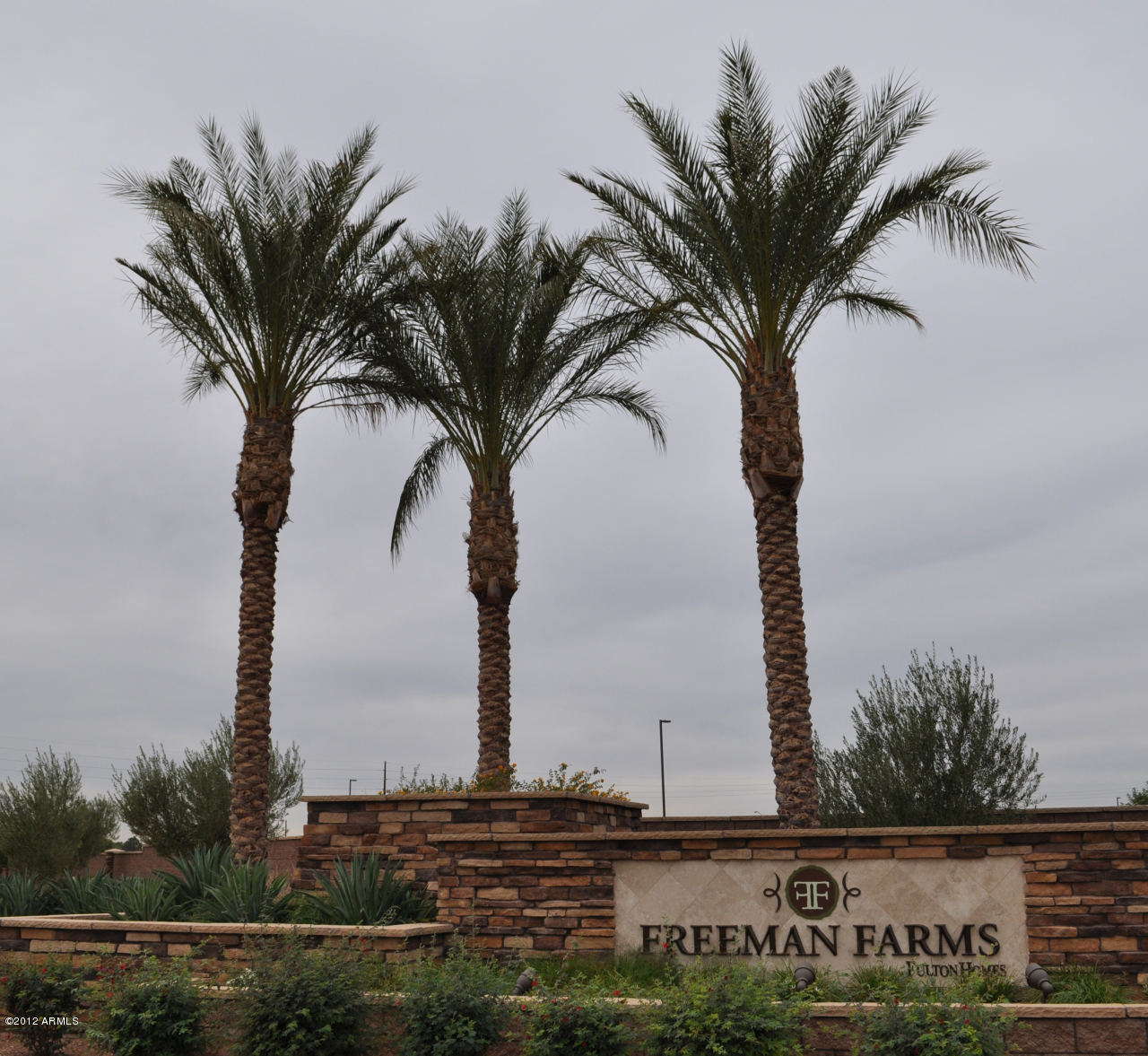 Property Photo: 2430 E Crescent Way AZ 85298