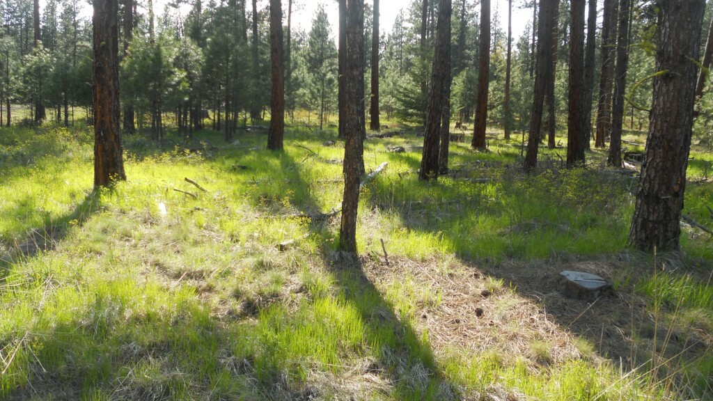 Property Photo: 0lot 2 Loping Lane WA 98922