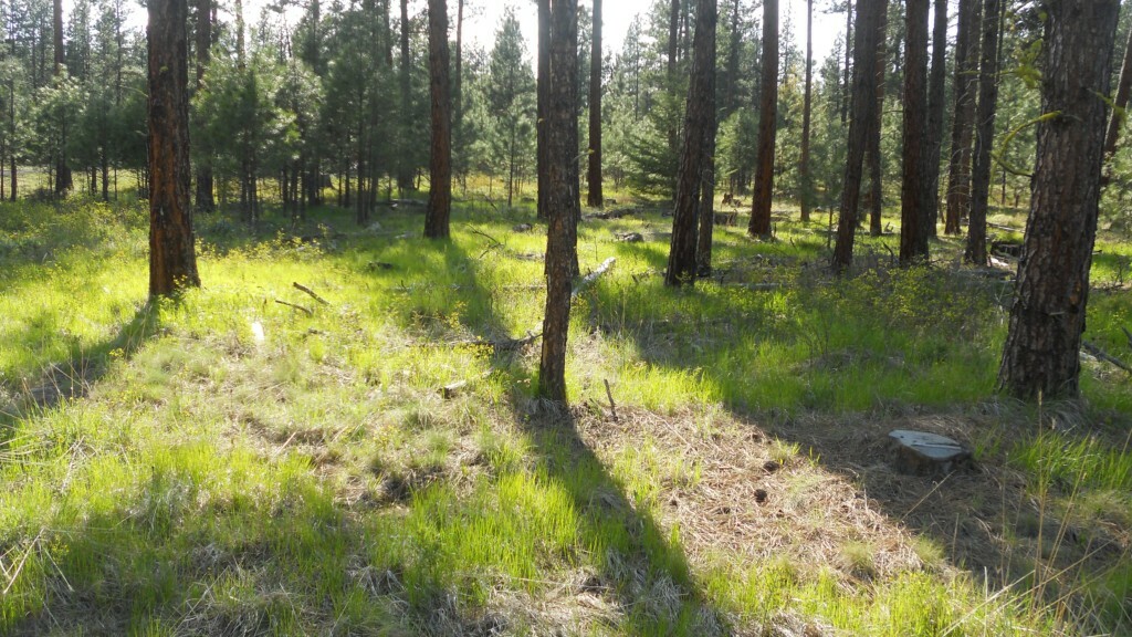 Property Photo:  0lot 2 Loping Lane  WA 98922 