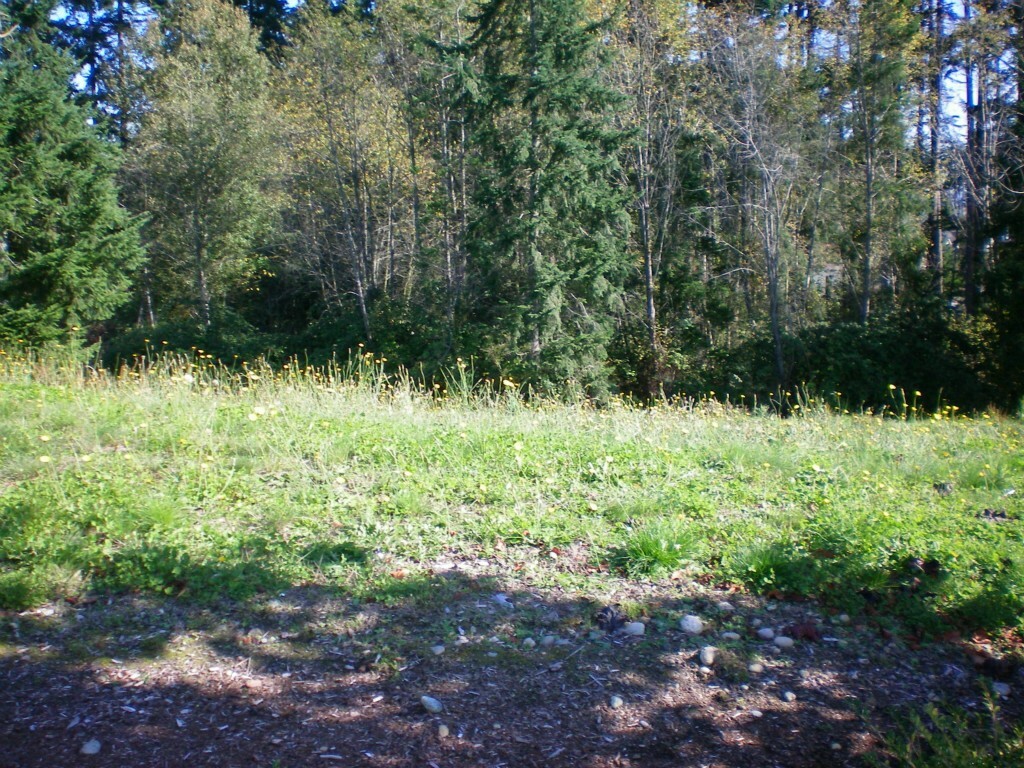 Property Photo:  9999lot 45 St Moritz Ct  WA 98282 