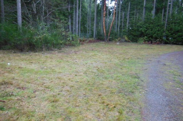 Property Photo:  3220 144th St NW  WA 98332 