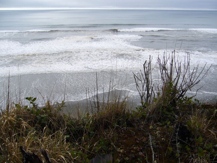 Property Photo: 999 Cape Elizabeth Rd WA 98526