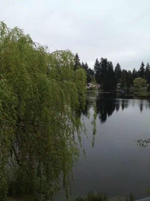 Property Photo:  423 75th St SE B27  WA 98204 