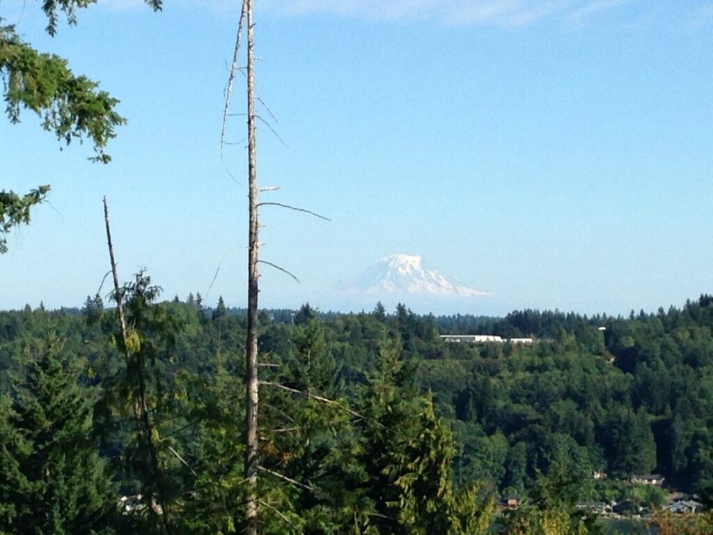 Property Photo:  1 Xxx  Sand Dollar Road W  WA 98312 