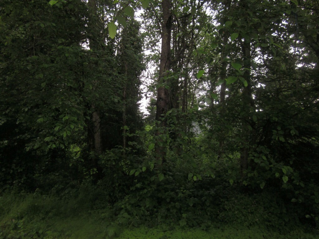 Property Photo: 240 S 296th Place WA 98003