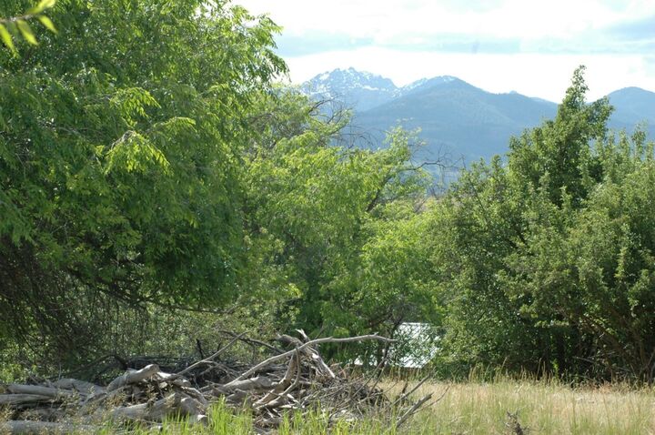 Property Photo:  0 Waring St  WA 98862 