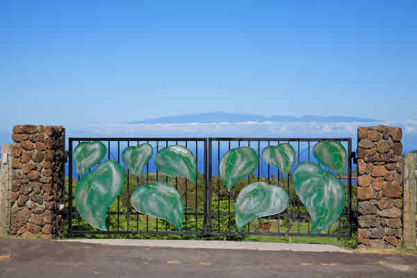 Property Photo:  56-3189 Puu Mamo Dr  HI 96719 