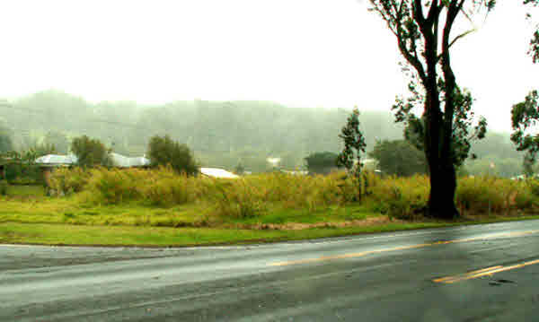 Property Photo: 64-1004 Kaula Ili Pl HI 96743