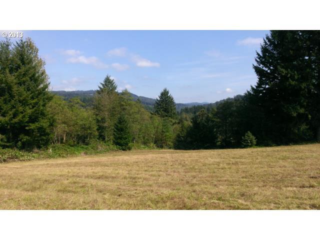 Property Photo: 0 SE 5th St WA 98671