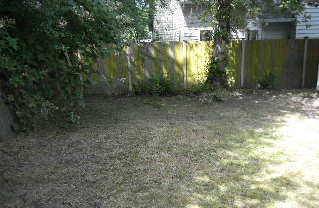 Property Photo:  32849 17th Ave SW  WA 98023 