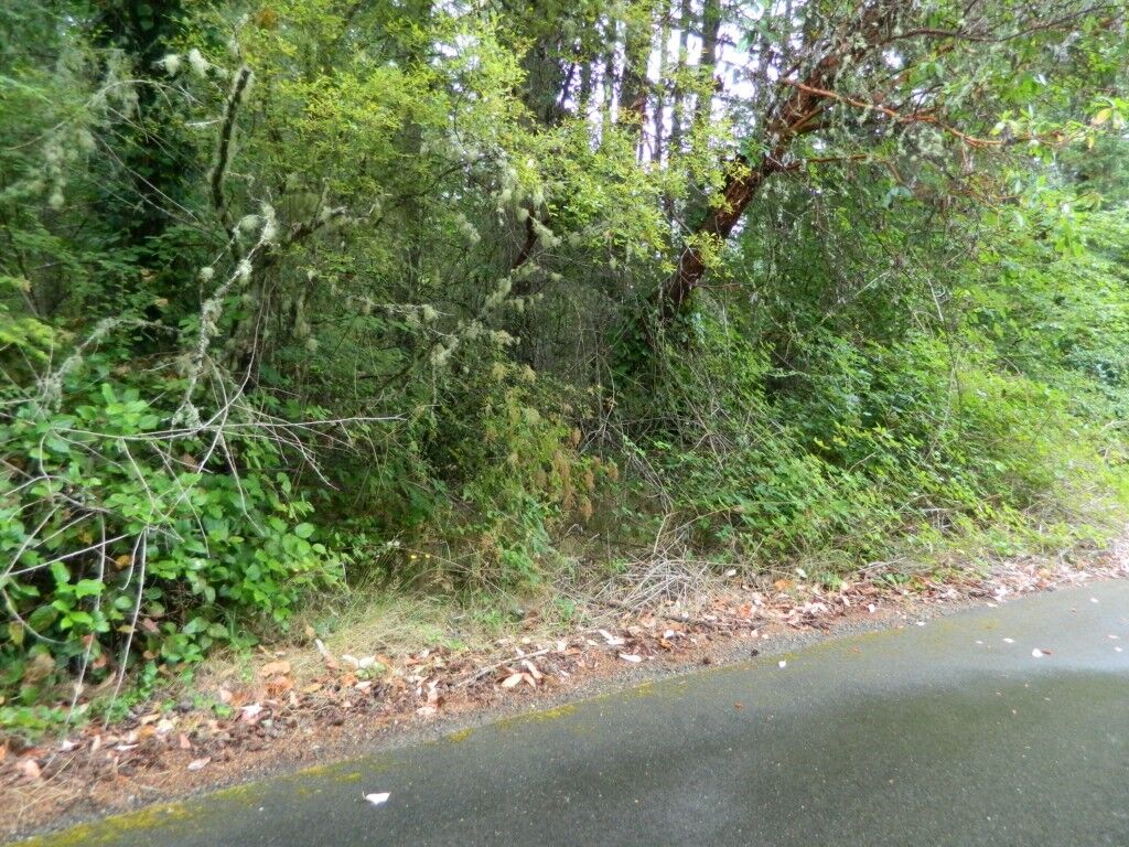 Property Photo:  1 Xxx  Nootka Drive  WA 98333 