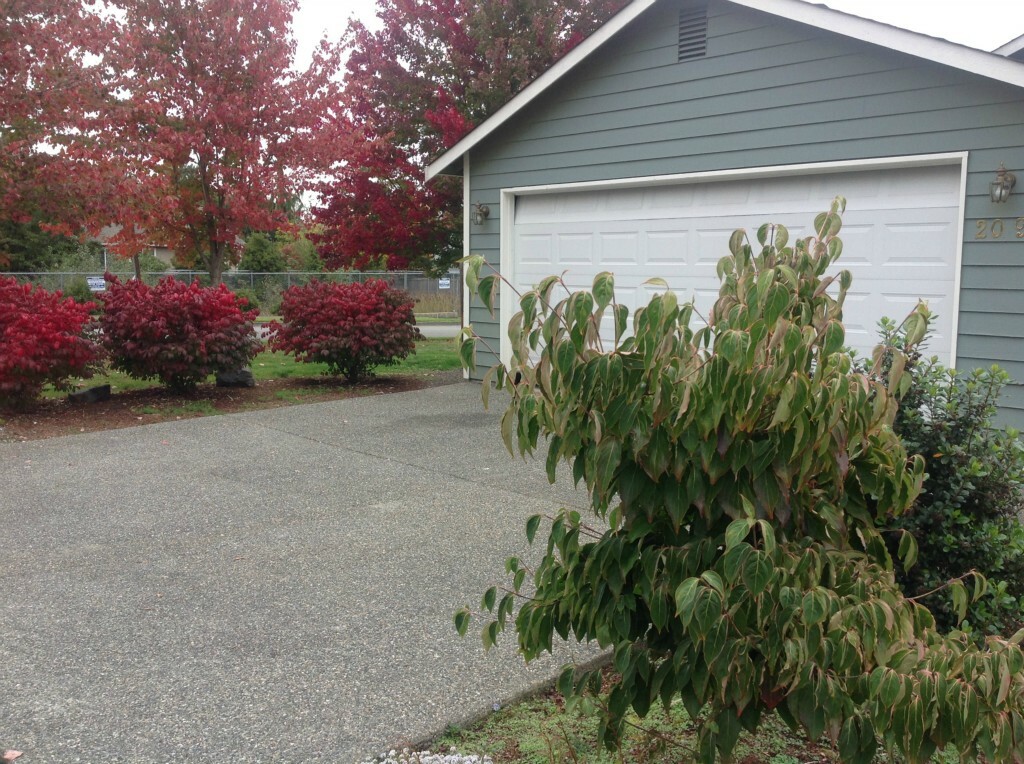 Property Photo:  209 95th Ave SE  WA 98258 