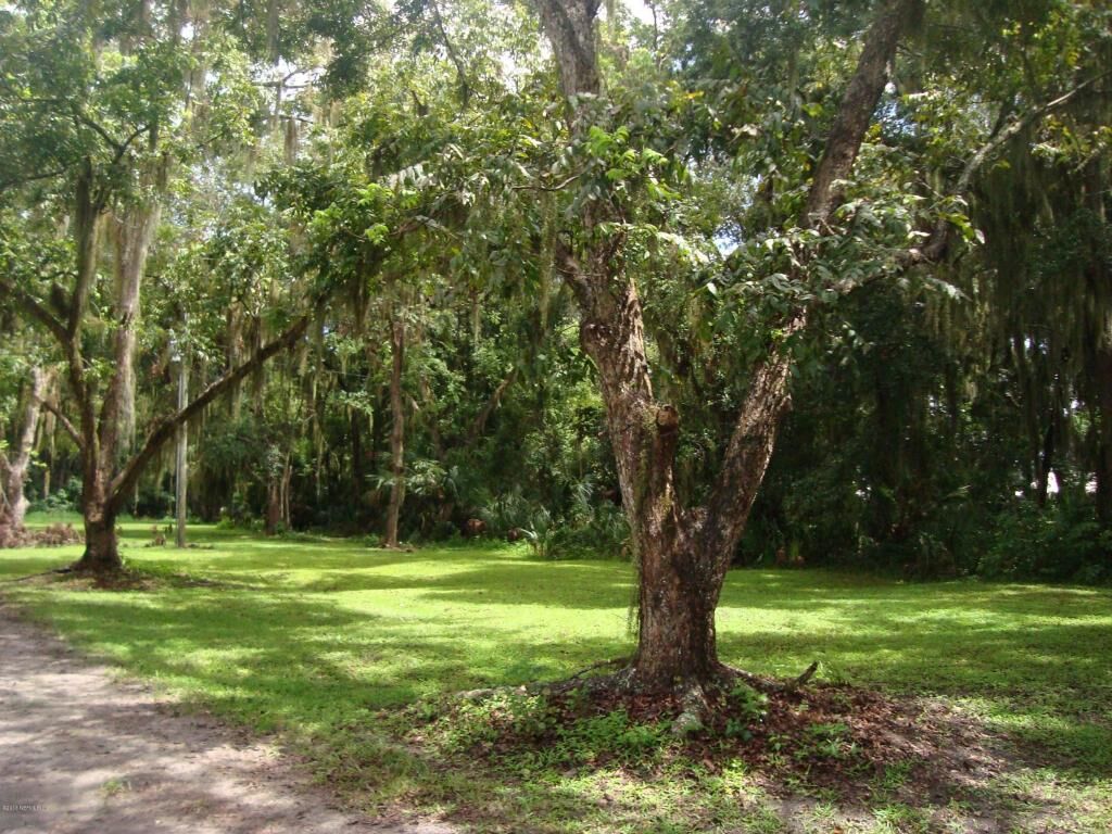 Property Photo:  000 Redbird Lane  FL 32131 