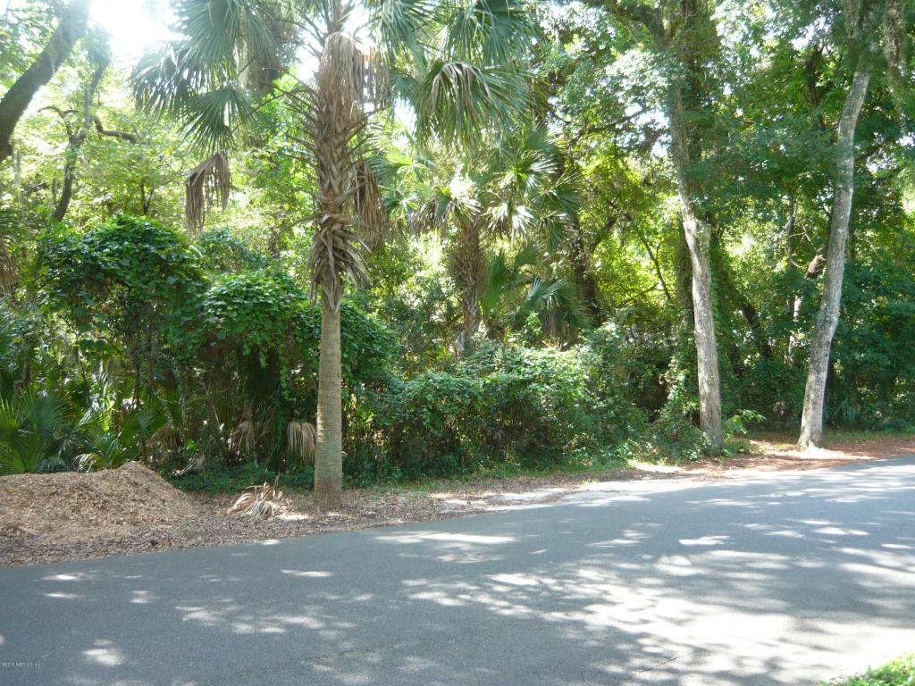 Lot 38 Sea Marsh  Fernandina Beach FL 32034 photo