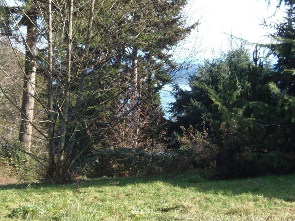 Property Photo: 0 Lot 5 Silver Crest Court WA 98260