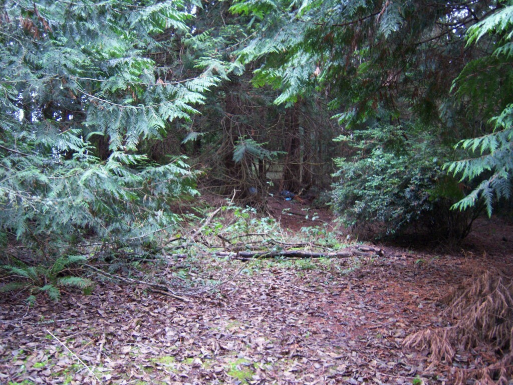 Property Photo: 8171 Old Military Rd NE WA 98311