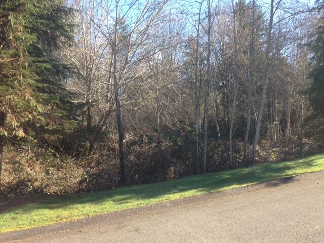 Property Photo: 455 3rd Court Fi WA 98333