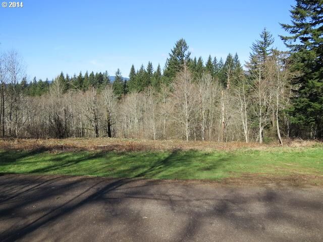Property Photo:  0 SE Eagle Woods Dr  WA 98671 