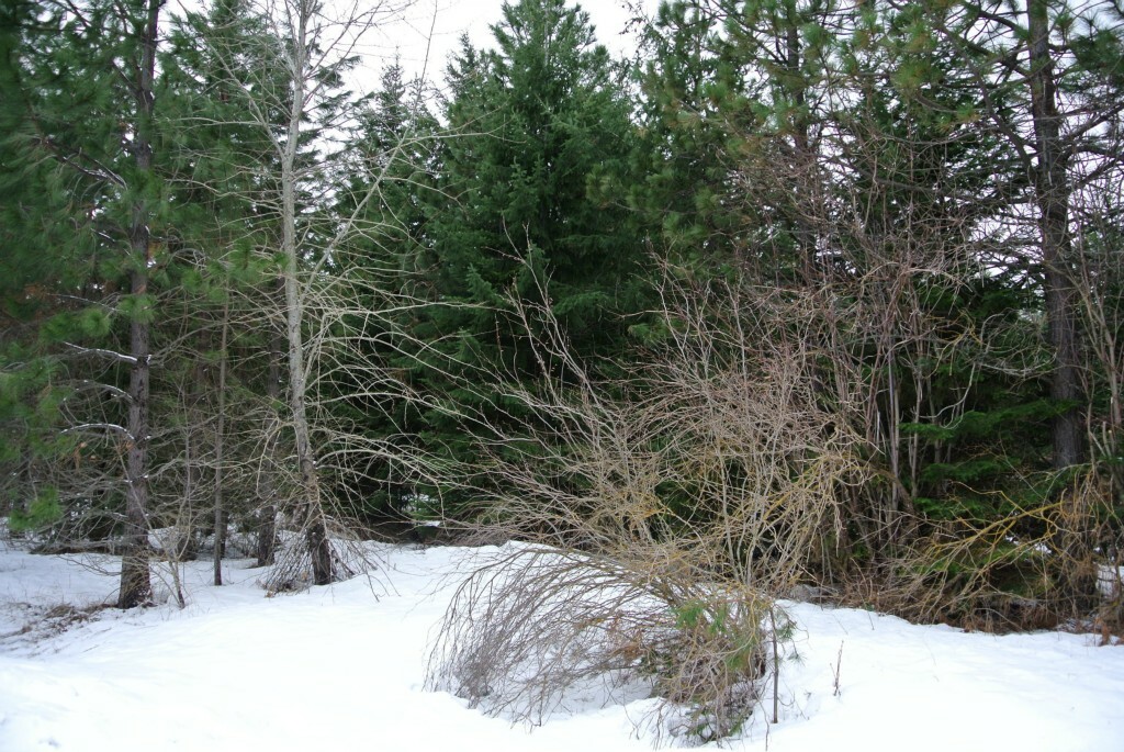 Property Photo:  12lot Iron Horse Rd  WA 98925 