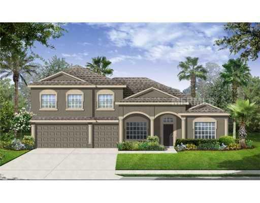 Property Photo: 20118 Blue Daze Avenue FL 33647
