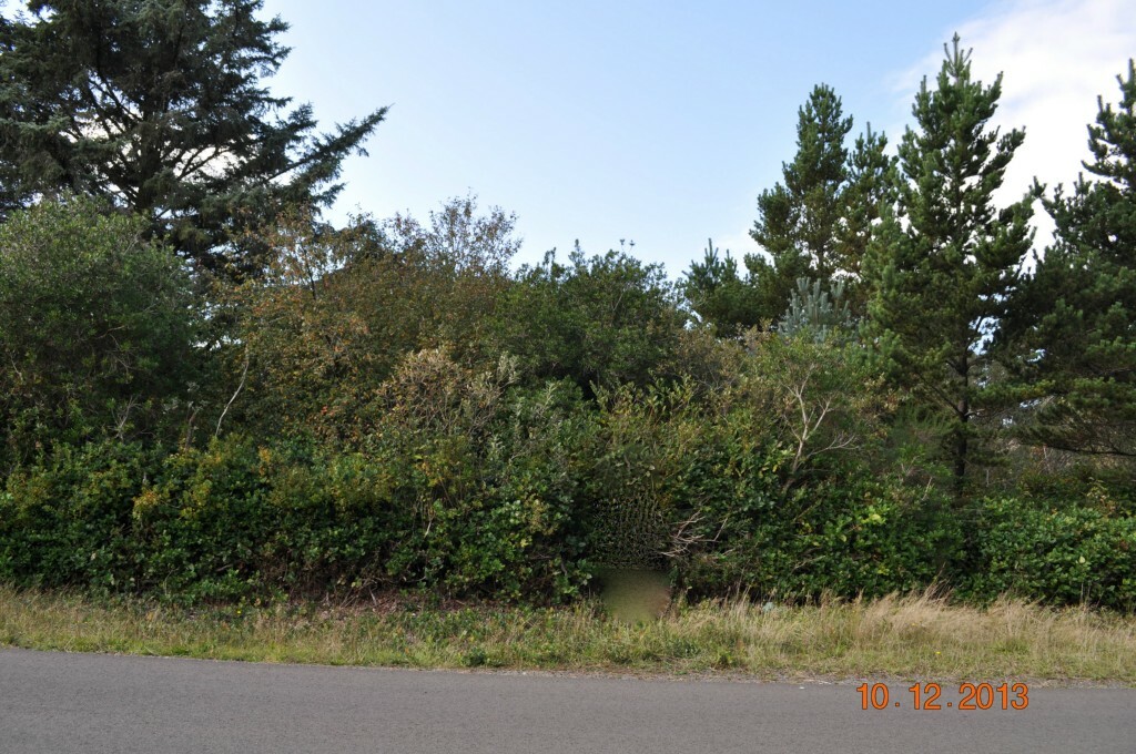 Property Photo:  269 Ensign Ave NW  WA 98569 