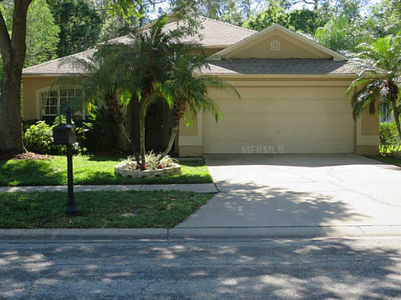 Property Photo:  12011 Oaksbury Drive  FL 33626 