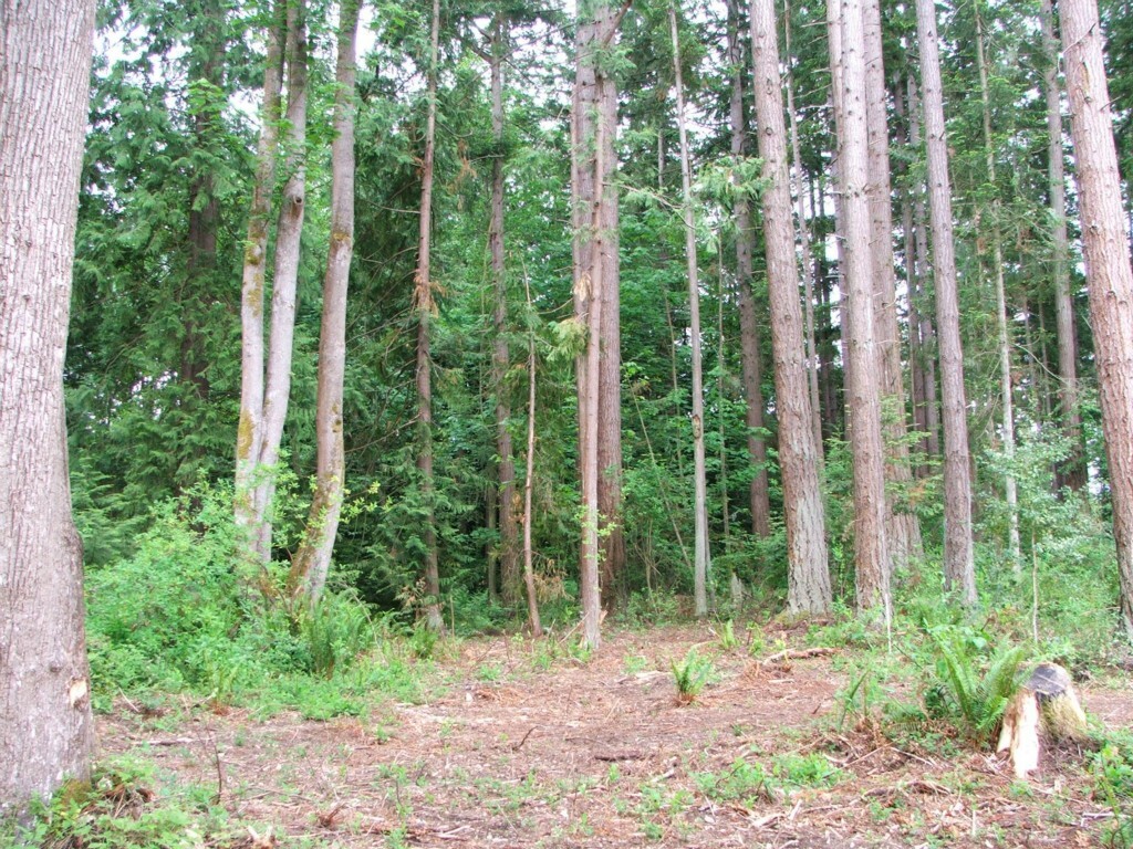 Property Photo:  9999lot 54C Marine Dr  WA 98292 