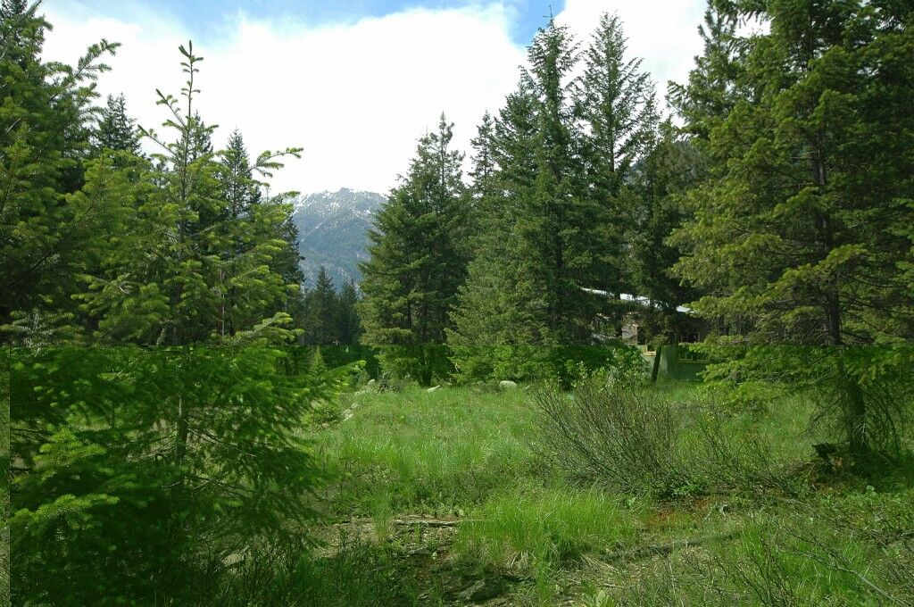 Property Photo:  0 Skyline Dr  WA 98833 