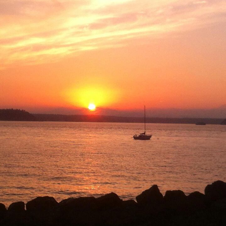 10203 47th Ave SW A206  Seattle WA 98146 photo