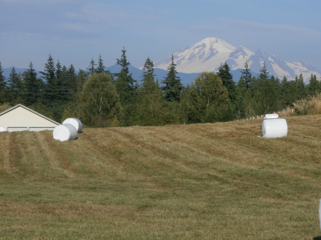 Property Photo: 5441 Noon Rd WA 98226