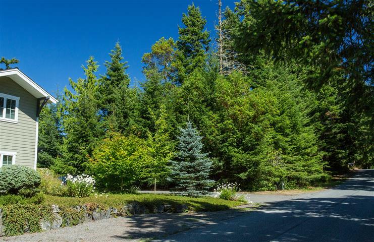 Property Photo: 520 Nelson St WA 98250
