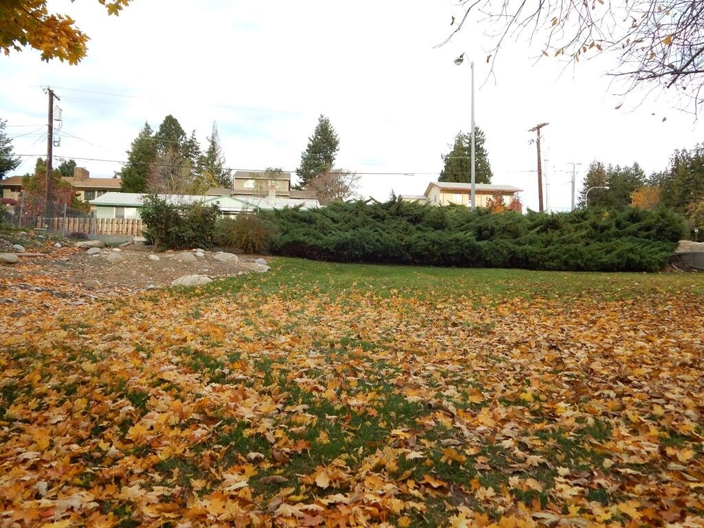 Property Photo:  0 NE 9th St  WA 98802