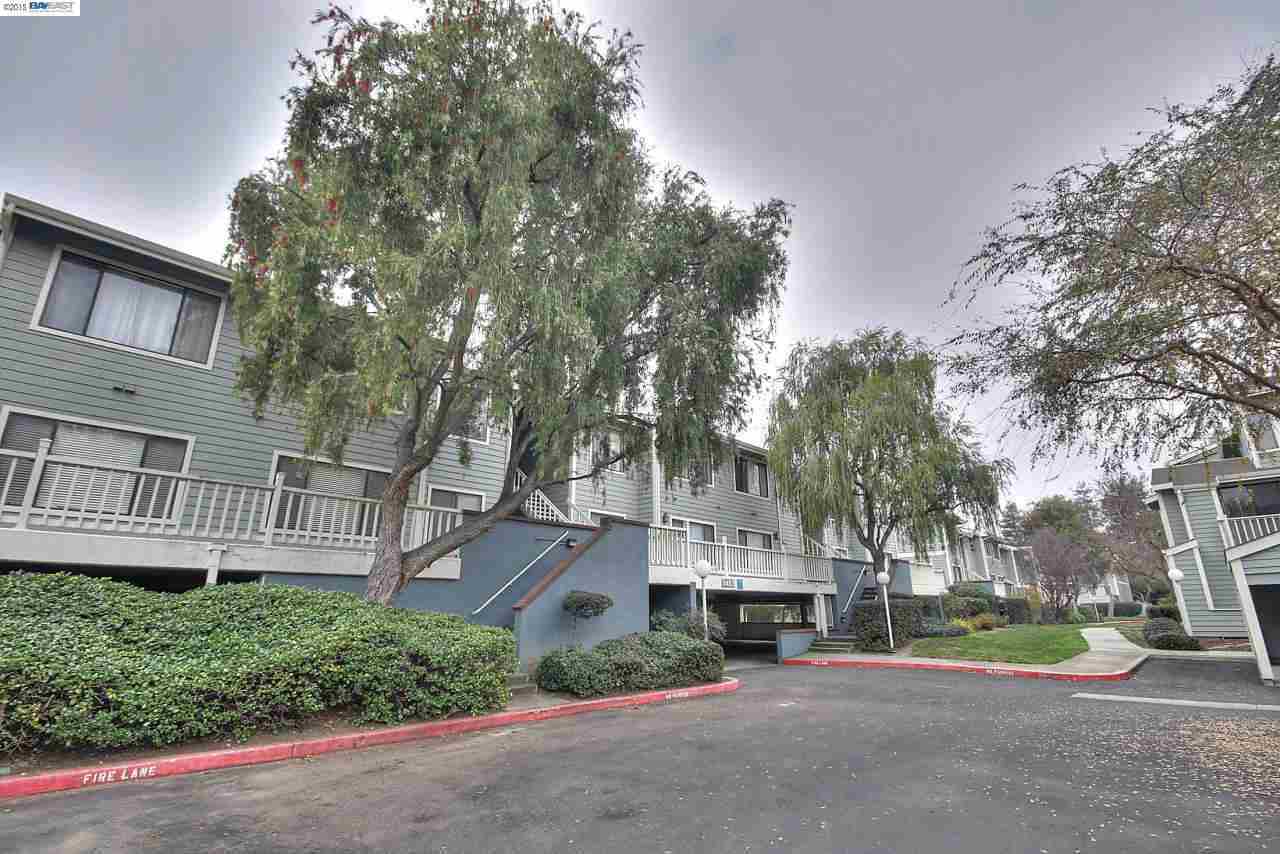 Property Photo: 3467 Pinewood Ter 204 CA 94536-7415