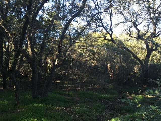 Property Photo: 14505 Running Deer Trail TX 78734