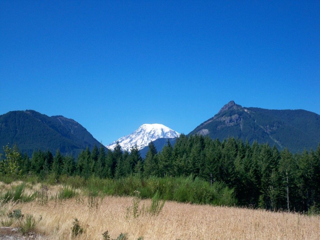 Property Photo:  154 Burl Lane  WA 98361 