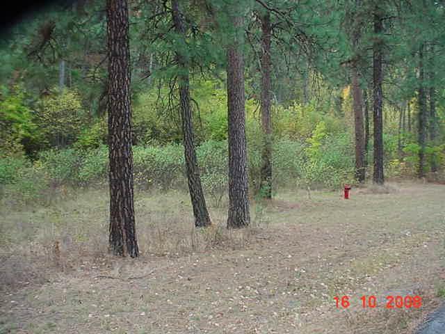 Property Photo:  Lot 7 Hwy 25  WA 99151 