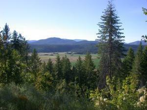 Lot 31 Palmer Loop  Chewelah WA 99109 photo