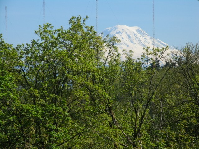 Property Photo:  3313 E Grandview Ave  WA 98404 