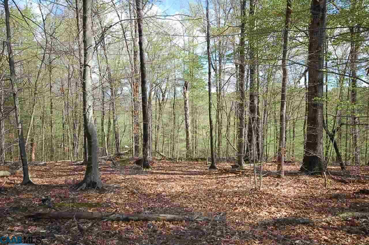 Property Photo:  Pea Ridge Rd Lot E  VA 22968 