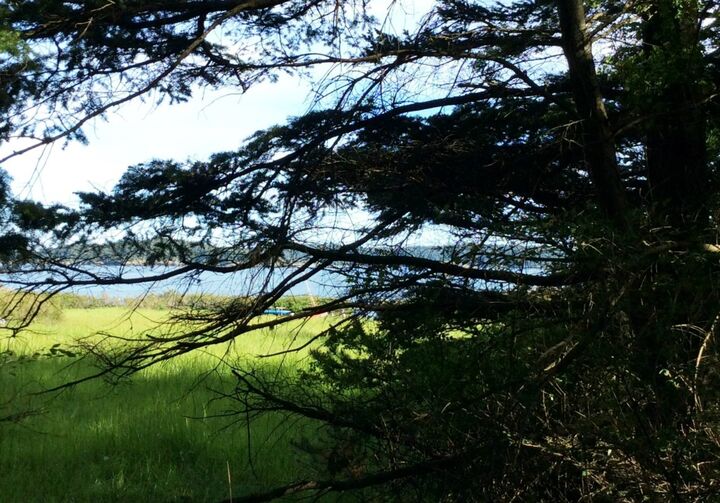 Property Photo:  57 Sterling Place  WA 98261 