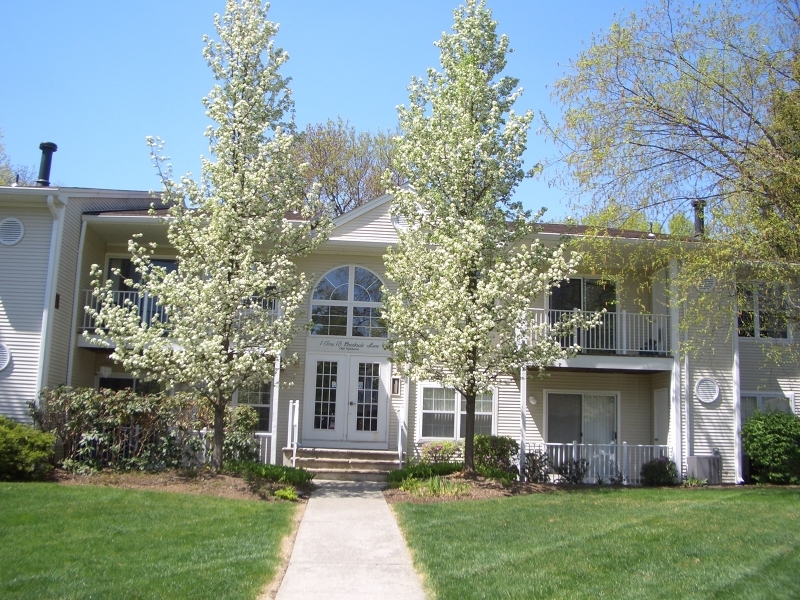 Property Photo:  3 Brookside Ln  NJ 07856 