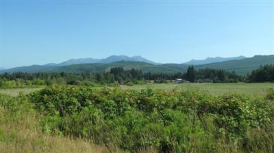 Property Photo:  9999 Critchfield Rd  WA 98363 