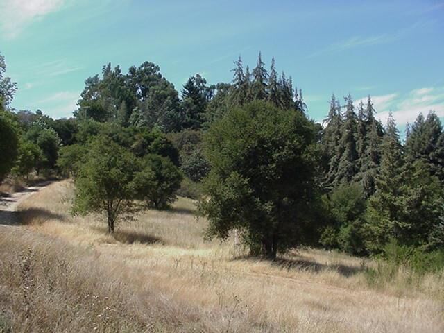 Property Photo:  18655 Black Road  CA 95033 