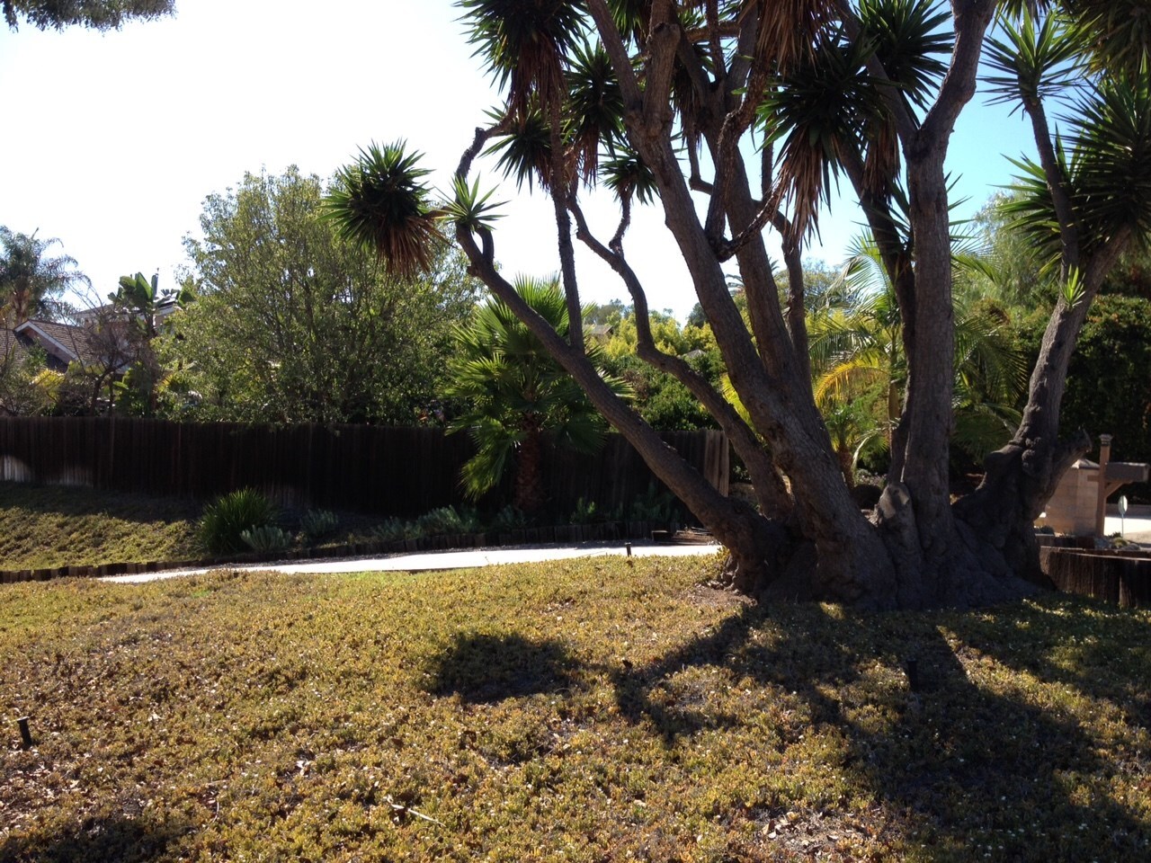 Property Photo: 1164 Range View Rd CA 92084