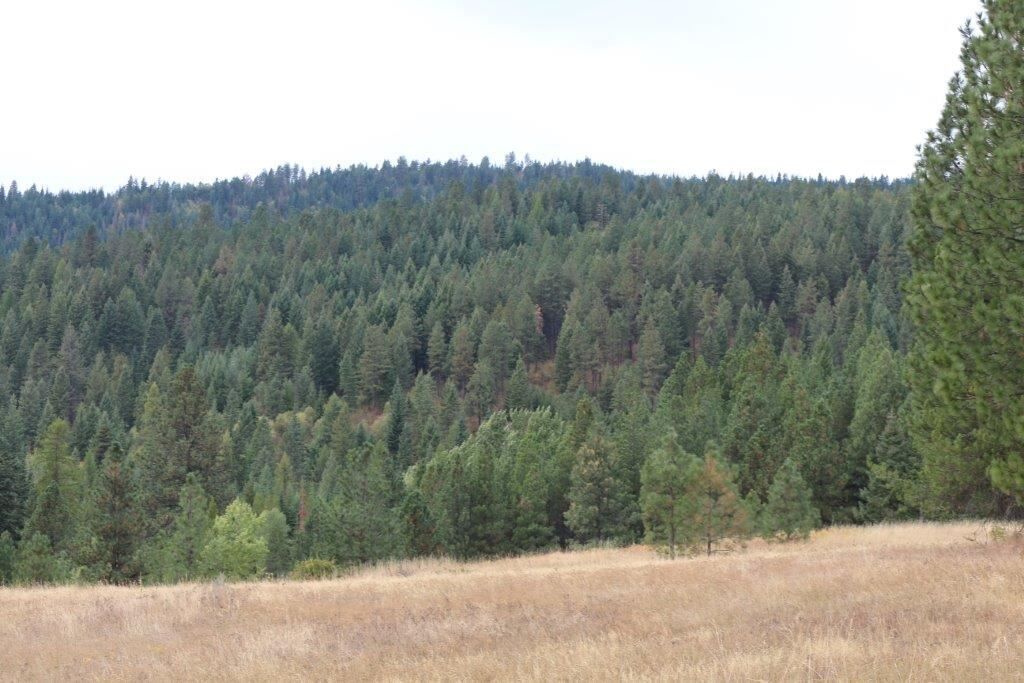 Property Photo:  000 S Starr Rd  WA 99030 