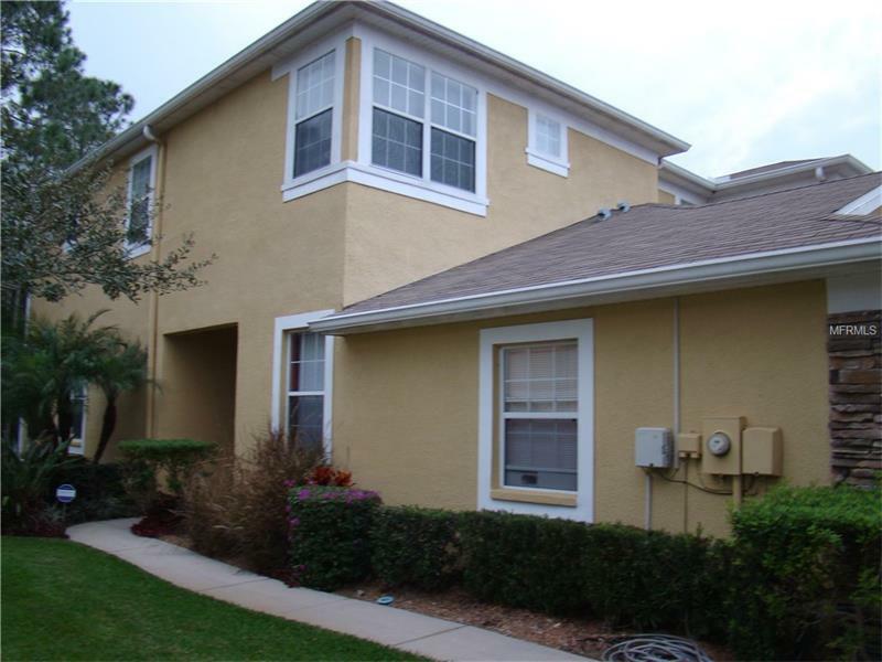 Property Photo: 8145 Stone Leaf Lane FL 33647