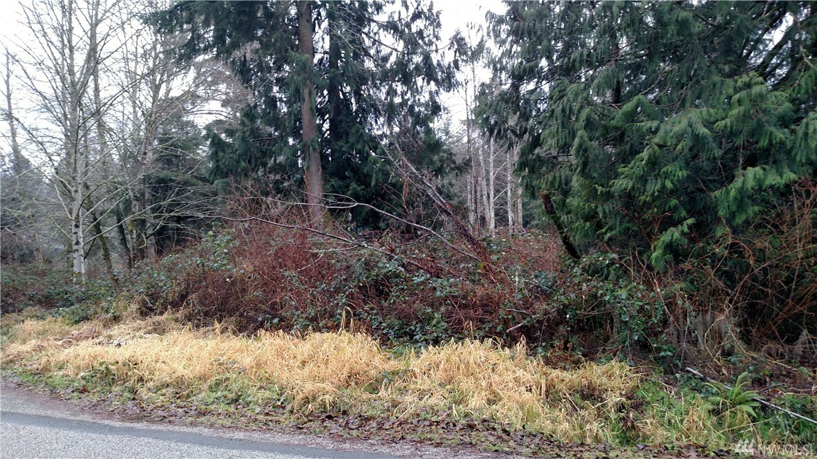 Property Photo:  0 Cedar Lane  WA 98284 