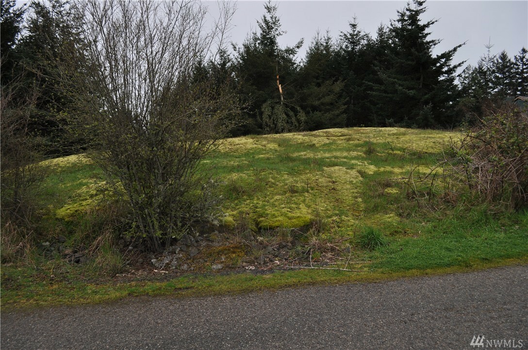 Property Photo:  Lot 1-A Panorama Place  WA 98250 